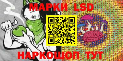 гидропоника Новокубанск