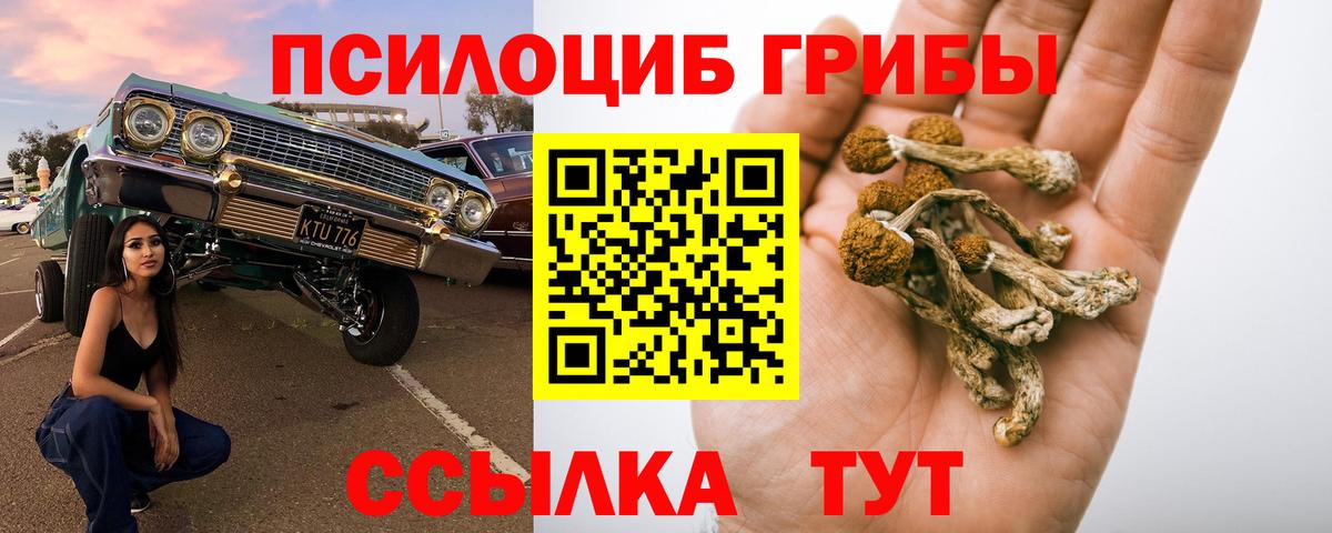 Торжок  Галлюциногенные грибы мухоморы  Вход с VPN 